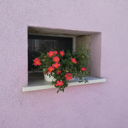 Kuca Za Odmor Lana *